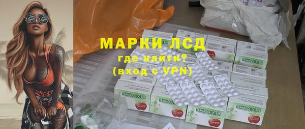 шишки Верея