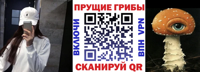 Псилоцибиновые грибы Cubensis  даркнет сайт  Власиха 
